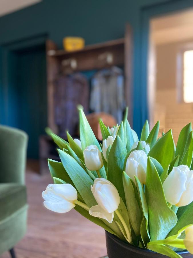 La Tour Yveline Bed & Breakfast Romans-sur-Isere Exterior photo